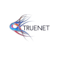 TRUENET, LDA logo - Similar company to Taimática - Sistemas E Serviços Informáticos, Lda