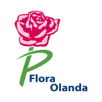 Flora Olanda logo - Similar company to Italiani In Olanda 🎙