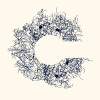 Cambrya, Inc. logo - Similar company to Bel Strategy