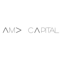 AMD Capital logo - Similar company to Noa
