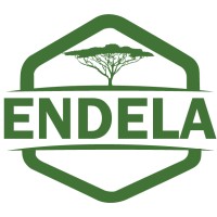 Endela Logistics, Inc. logo - Similar company to Tech Search Pros