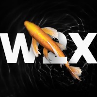 W2X LABS logo - Similar company to Macvaar Inc