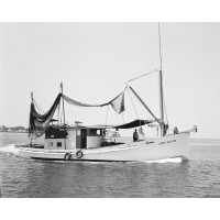 Biloxi Shrimp Co. logo - Similar company to Gennow Network - Tampa Bay Chapter