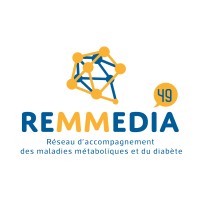 REMMEDIA 49 logo - Similar company to Inter Amc