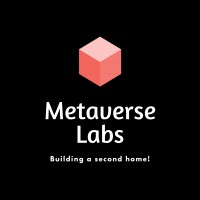 Metaverse Labs logo - Similar company to Strider Labs Ltd