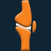 Joint Theory Physical Therapy