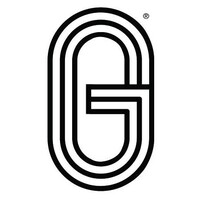 Gurulocity Brand Management Institute logo - Similar company to Technology Tailor Made