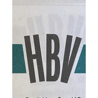 HBV Hanseatische Baustellen- und Verkehrsabsicherung Georg Littig GmbH & Co. KG logo - Similar company to Exact Security & Exv Verkehrssicherung