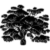 Clean Forest Solutions Inc