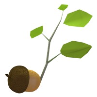 Seniors and Sprouts