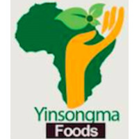Yinsongma Enterprise logo - Similar company to Zenextweb