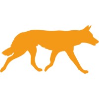 Dingo PPC logo - Similar company to Ppc Doctor