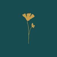 New Day Counseling, LLC (Illinois) logo - Similar company to Her Drive