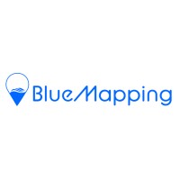 Bluemapping logo - Similar company to Vittascience
