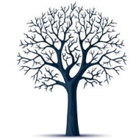 Criminon UK logo - Similar company to Beyond Recovery Cic