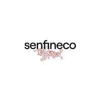 Senfineco logo - Similar company to Senfine Academy