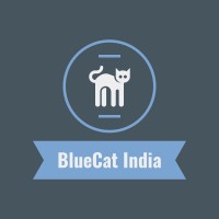 BlueCat India logo - Similar company to Netobjectives