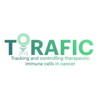 T-RAFIC - Tracking and controlling therapeutic immune cells in cancer logo - Similar company to Immutrain - Training Network For The Immunotherapy Of Cancer