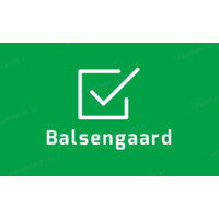 Balsengaard logo - Similar company to Micar Auto E-Commerce