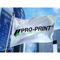 Pro-Print Digital Printing Solutions logo - Similar company to Greenway Print