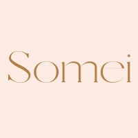 SOMEI, LLC logo - Similar company to Somei App