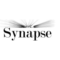 Synapse-Consulting logo - Similar company to Timberlake Mena