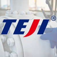 TEJI VALVE GROUP CO.,LTD. logo - Similar company to Okaway Far East Control Valve(Dalian) Co., Ltd