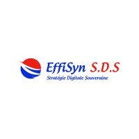 Effisyn S.D.S logo - Similar company to Sdr-Technologies Sas