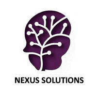 NEXUS SOLUTIONS logo - Similar company to Elissa Distribution