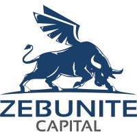 Zebunite Capital logo - Similar company to Ain Partners
