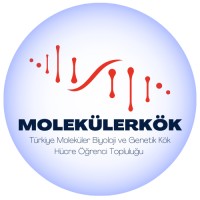 MOLEKÜLERKÖK logo - Similar company to Uu Biotechnology And Bioengineering Club