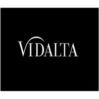 Vidalta logo - Similar company to Iterativa
