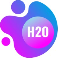 MarketingH2O logo - Similar company to Fabs Agency