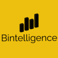 Bintelligence logo - Similar company to B-Intelligence
