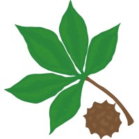 Buckeye Carpet Care Inc