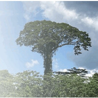 Somos Naturaleza logo - Similar company to Augmize