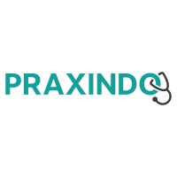 Praxindo GmbH logo - Similar company to Bro Sweets Gmbh