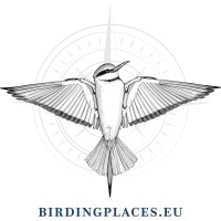 Birdingplaces logo - Similar company to Bioconsulting Group