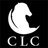 Capital Leading Company logo - Similar company to Solidoffers