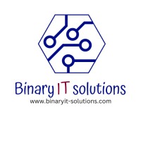 BINARY IT SOLUTIONS logo - Similar company to Global Layer Technologies