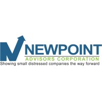 Newpoint Advisors Corporation logo - Similar company to Mad Data Io
