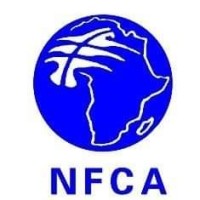 NFC Africa Mining Plc - Zambia logo - Similar company to Gemfields Group