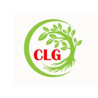 CLG Projects LLP logo - Similar company to Densat Fm Services Pvt Ltd