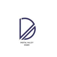 DIGITAL VALLEY ESGEN logo - Similar company to Ecole Supérieure De Gestion Et D'Economie Numérique