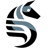 Bavieca logo - Similar company to Kabo Solutions Limited