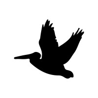 Pelican Insights