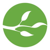 Branch VFX logo - Similar company to Morgan Vfx