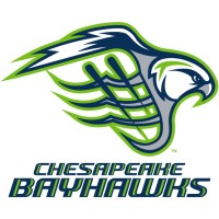 Chesapeake Bayhawks logo - Similar company to Hex Performance