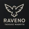 Raveno logo - Similar company to Gz Science & Tech Hk .Ltd