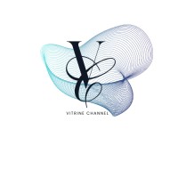 VITRINE CHANNEL SRL logo - Similar company to Dojocode